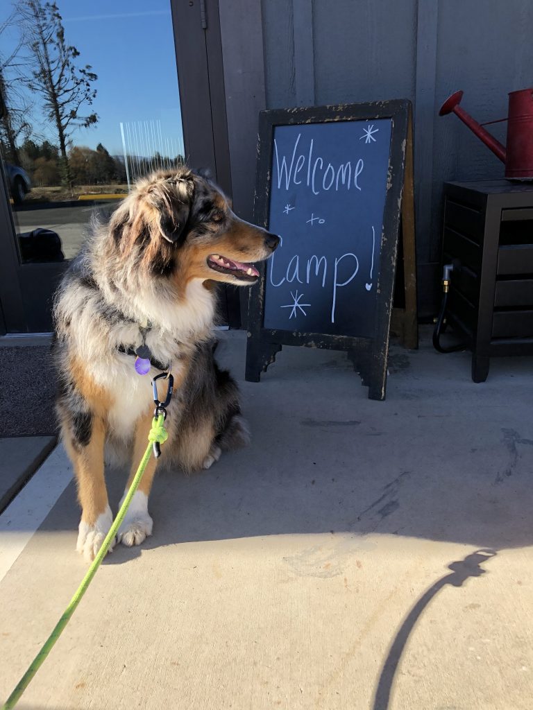 Bend Unleashed - Image 1