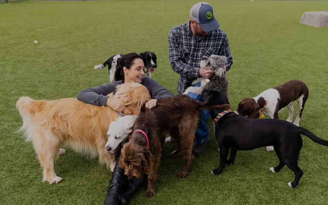 Discover Peace of Mind: Boarding Your Best Friend at Bend Unleashed